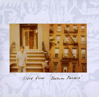 Steve Gunn - Boerum Palace : LP