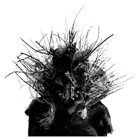 Teleseen - Anamorph