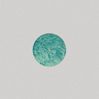 Locked Groove - Thesseus