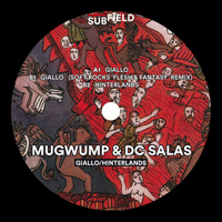 Mugwump & Dc Salas - Giallo / Hinterlands : 12inch
