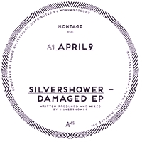 Silvershower - Damaged Ep : 12inch
