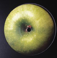 The Maghreban - Green Apple : 12inch