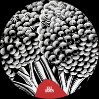 I.A. BERICOCHEA - Wake Up : 12inch