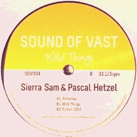 Sierra Sam / Pascal Hetzel - Wild Things : 12inch