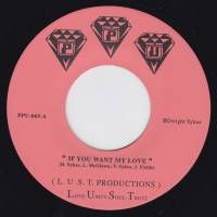 L.U.S.T. Productions - If You Want My Love / You That I Need : 7inch