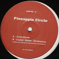 Pineapple Circle - Circle Waves : 12inch