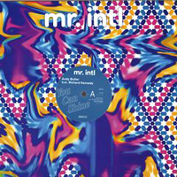 Andy Butler - You Can Shine / Personality Track : 12inch