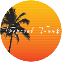 Cole Medina - Tropical Funk : 12inch