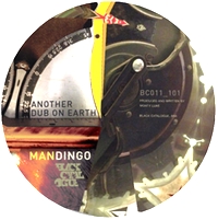 Mandingo - ANOTHER DUB ON EARTH : 12inch