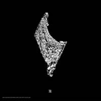 Various - V - 5 Years Of Artefacts Chapter Five : 12inch