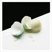 Aaron Ahrends - Newborn Remixes : 7inch