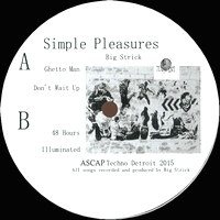 Big Strick - Simple Pleasures : 12inch