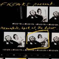 Freaks - Meanwhile, Back At The Disco : 2LP