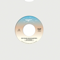 Jay W. McGee - Good Feeling : 7inch