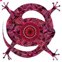 Pablo - Feels Like (OPOLOPO Remix) : 10inch