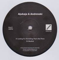 Ajukaja & Andrevski - Looking For Something That’s Not There / Mesilind : 12inch
