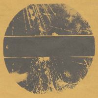 Container - LP