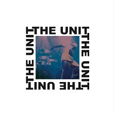 The Unit - Ain't No Need : 12inch