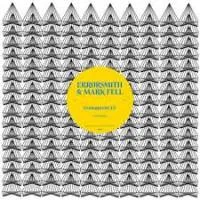 ERRORSMITH & MARK FELL - Protogravity EP : 12inch