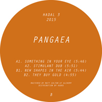 Pangaea - New Shapes In The Air : 12inch