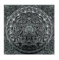 Deer - String Theory EP