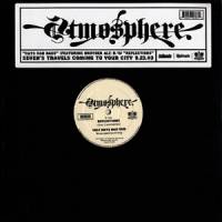 Atmosphere - Cats Van Bags : 12inch