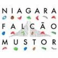 Niagara - Mustor &amp; Falc&amp;#227;o : 12inch
