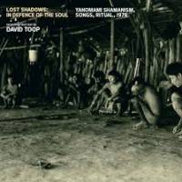 Various - David Toop - Lost Shadows: In Defence Of The Soul / Yanomami Shamanism, Songs, Ritual, 1978 : LP