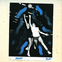 Ptaki - PRZELOT