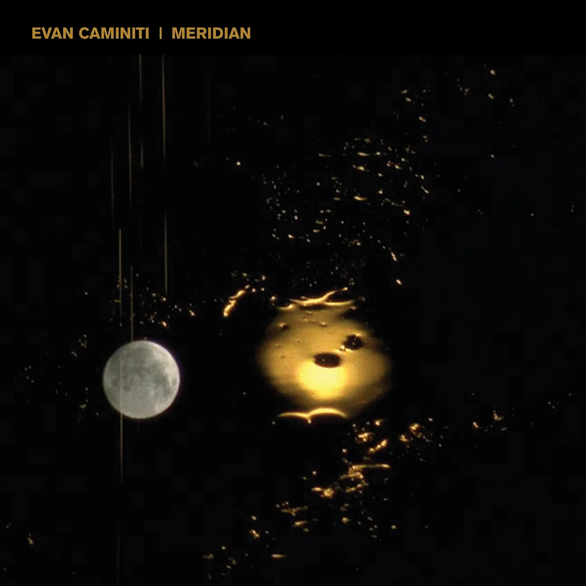 Evan Caminiti (Barn Owl) - Meridian : LP