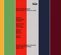 Thomas Brinkmann - What You Hear (Is What You Hear) : CD