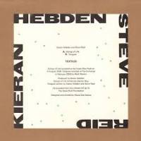 Kieran Hebden And Steve Reid - Strings Of Life / Tongues : 12inch