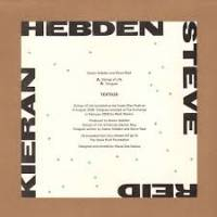 Kieran Hebden And Steve Reid - Strings Of Life / Tongues