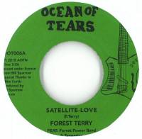 Forest Terry - Satellite love : 7inch