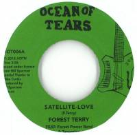 Forest Terry - Satellite love