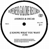 Andras & Oscar - (I Know) What You Want : 12inch