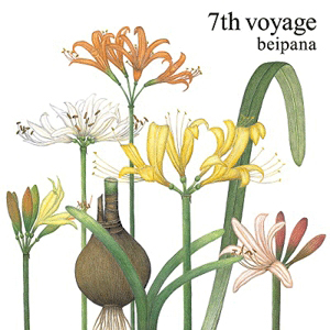 Beipana - 7th voyage