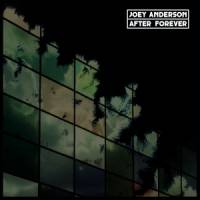 Joey Anderson - AFTER FOREVER : 2LP
