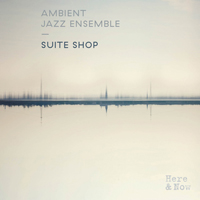 Ambient Jazz Ensemble - Suite Shop Originals : LP