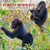CATHERINE BOUCHAIN &amp; JEAN-PIERRE GAUTIER - Forest Monkeys : CD
