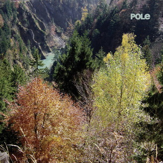 Pole - Wald : 2LP