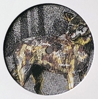 Vegyn - Janhui : 12inch