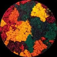 Henry Rodrick - DAYBREAK (inc MARK SEVEN & TOOLI REMIXES) : 12inch