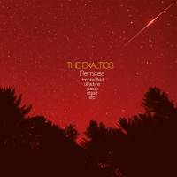 The Exaltics - The Truth Remixes : 12inch