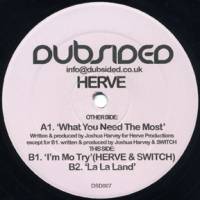 Herve - What You Need The Most : 12inch