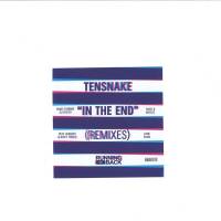 Tensnake - In The End (remixes) : 2LP