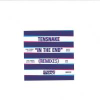 Tensnake - In The End (remixes) : 2LP