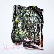 Korallreven - Here In Iowa : 7inch