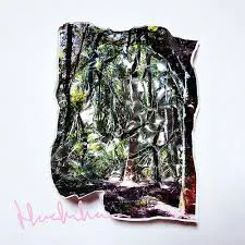 Korallreven - Here In Iowa : 7inch