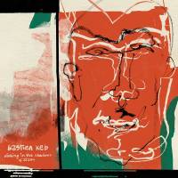 Bastien Keb - DINKING IN THE SHADOWS OF ZIZOU : LP